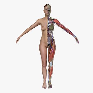 Ultimate Complete Female Anatomy