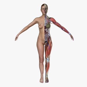 Ultimate Complete Female Anatomy