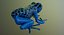 Blue Poison Dart Frog