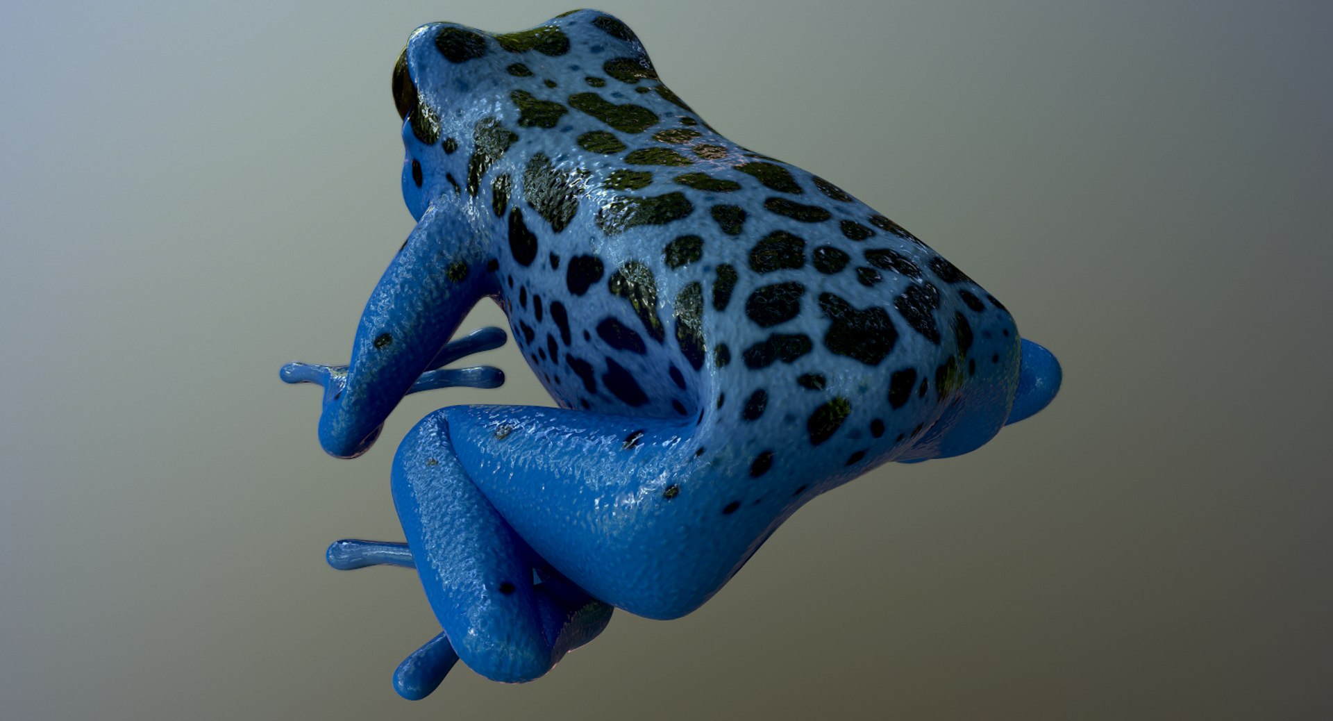 3D model realistic poison dart frog https://p.turbosquid.com/ts-thumb/4D/Bugi4V/hAqXvFNE/screenshot017/png/1517828329/1920x1080/fit_q87/9045652f5b08fe912c36c4b0e822a50be96d25e2/screenshot017.jpg