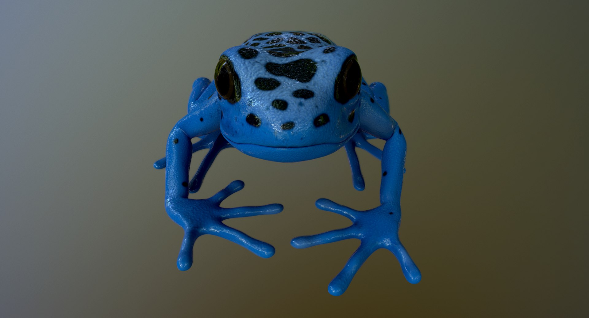 3D model realistic poison dart frog https://p.turbosquid.com/ts-thumb/4D/Bugi4V/qkSgoiyg/screenshot033/png/1517828329/1920x1080/fit_q87/a62c19ea0a17a7a8ab031f785b6f25592bf51185/screenshot033.jpg