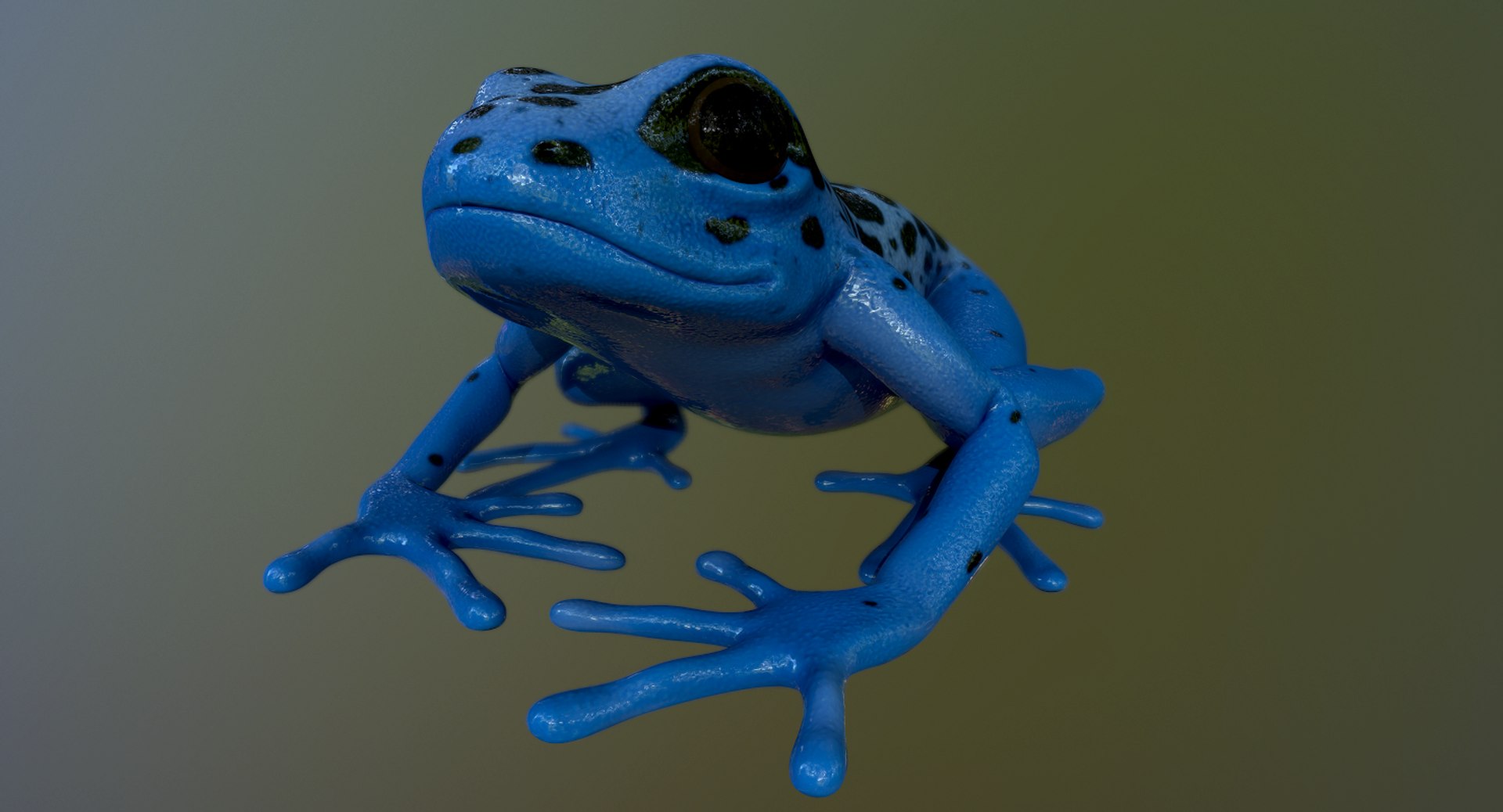 3D model realistic poison dart frog https://p.turbosquid.com/ts-thumb/4D/Bugi4V/vDmjBmAL/screenshot024/png/1517828329/1920x1080/fit_q87/cac3369bcd18d213366734c214e517da98f6801e/screenshot024.jpg