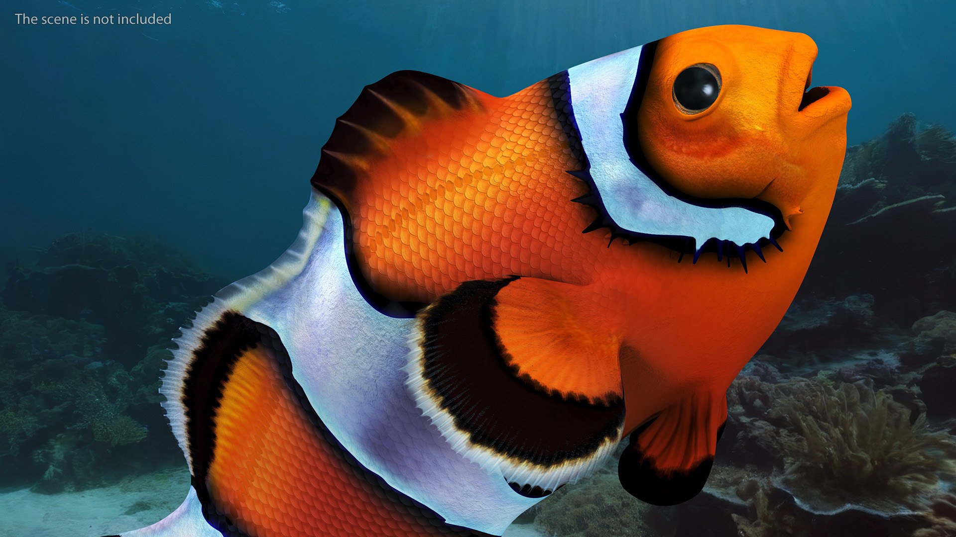 Anemonefish 3D https://p.turbosquid.com/ts-thumb/4D/CJnfRh/0t/anemonefish3dsmodel005/jpg/1722290411/1920x1080/fit_q87/f0b5df5fd8638ae83db93305f1a31ef261657208/anemonefish3dsmodel005.jpg