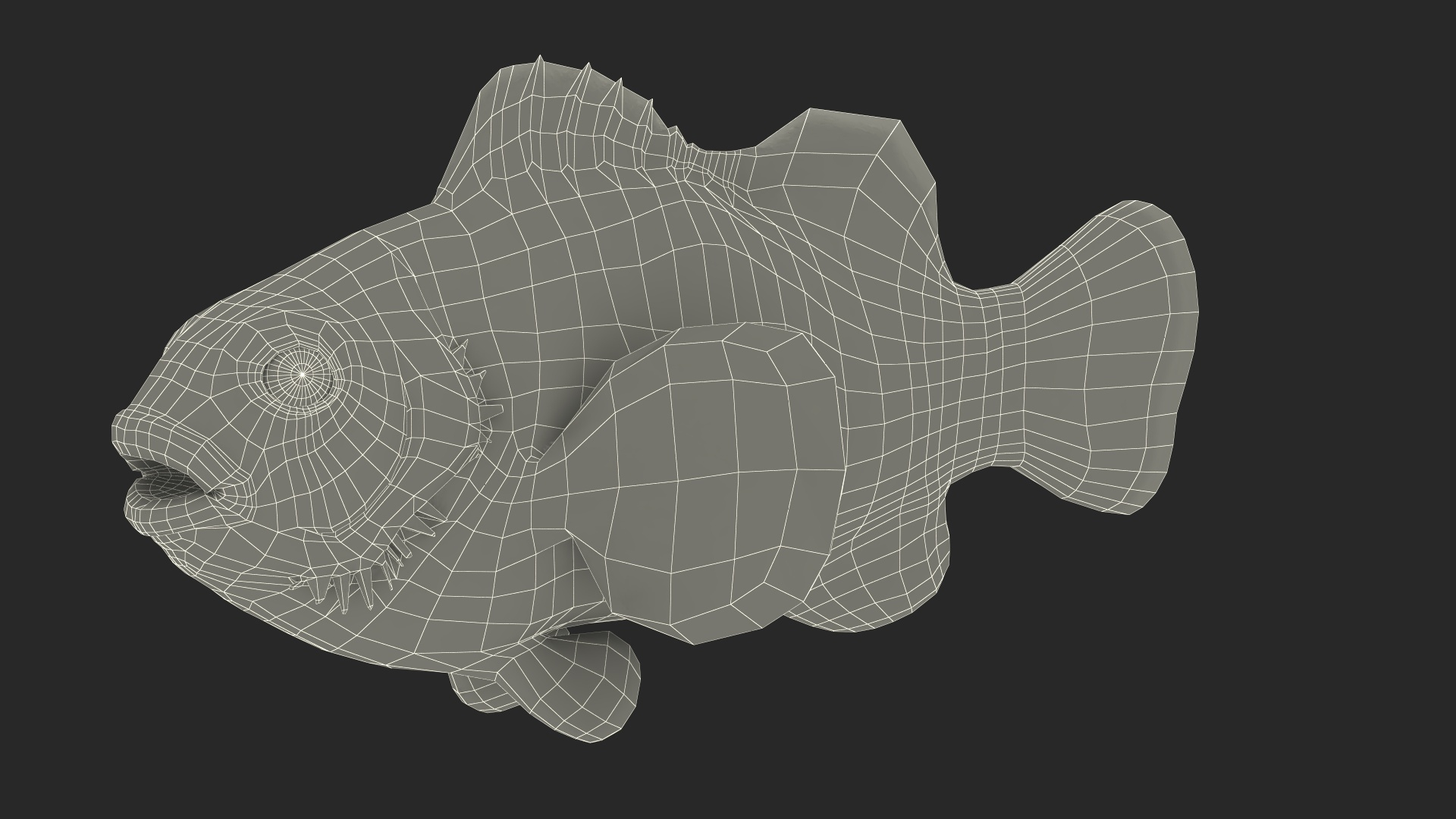 Anemonefish 3D https://p.turbosquid.com/ts-thumb/4D/CJnfRh/Dd/anemonefish_361/jpg/1722290040/1920x1080/turn_fit_q99/8bf91ff8cfeb57212eb66636b9d92b70acf30997/anemonefish_361-1.jpg