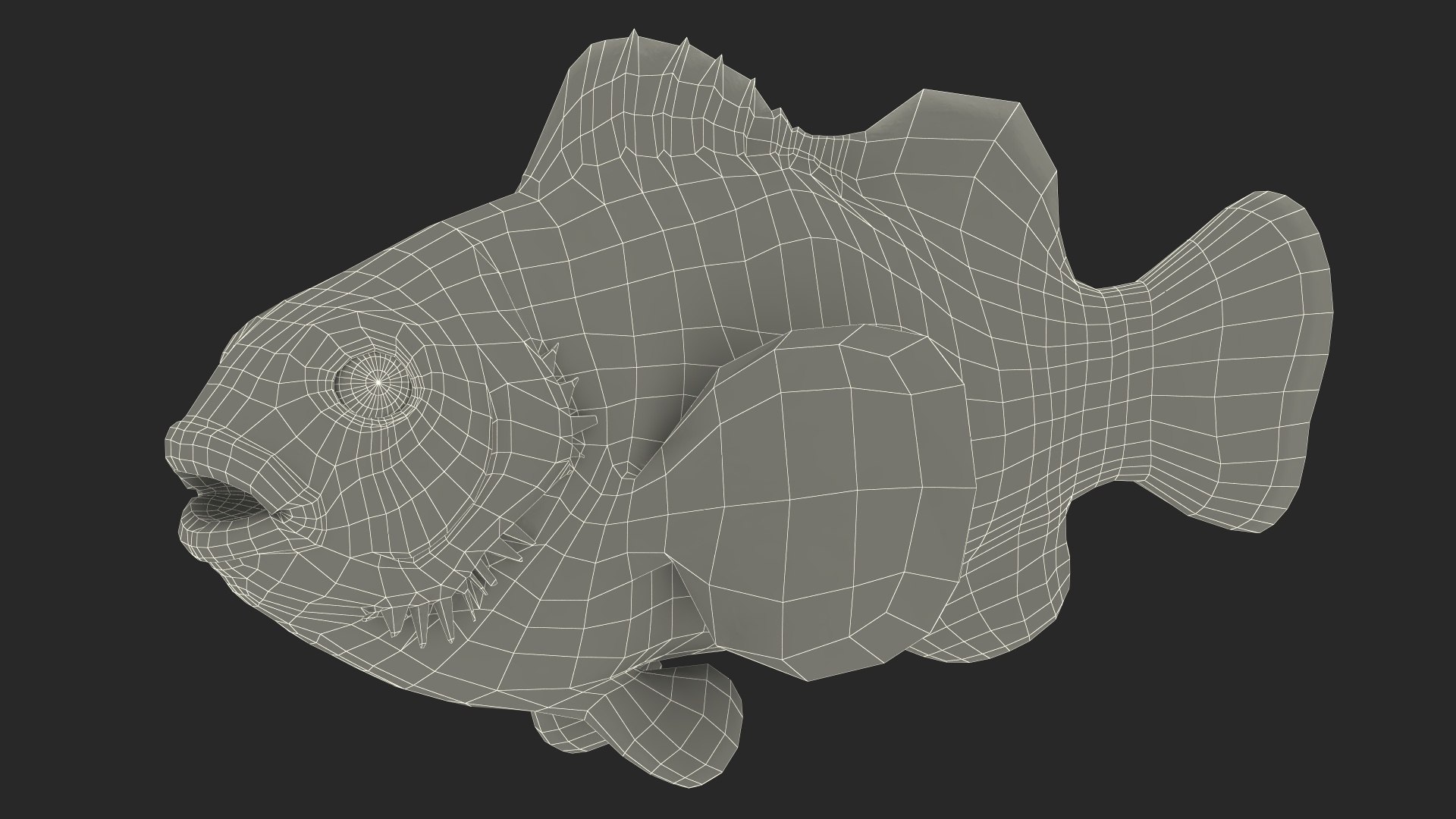 Anemonefish 3D https://p.turbosquid.com/ts-thumb/4D/CJnfRh/G2/anemonefish3dsmodel020/jpg/1722290487/1920x1080/fit_q87/6a935e9c8be62414bece159d79c89963fed7a7eb/anemonefish3dsmodel020.jpg