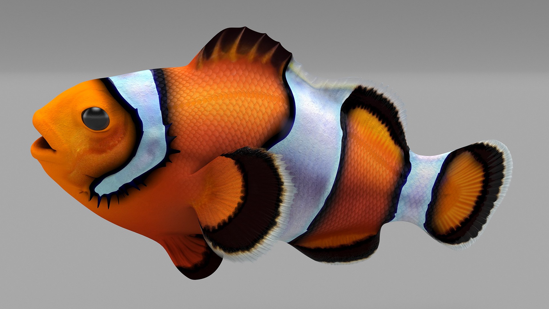 Anemonefish 3D https://p.turbosquid.com/ts-thumb/4D/CJnfRh/HX/anemonefish3dsmodel008/jpg/1722290427/1920x1080/fit_q87/1b614f2bf1ad872bb89685f9fe819639d4f25d57/anemonefish3dsmodel008.jpg