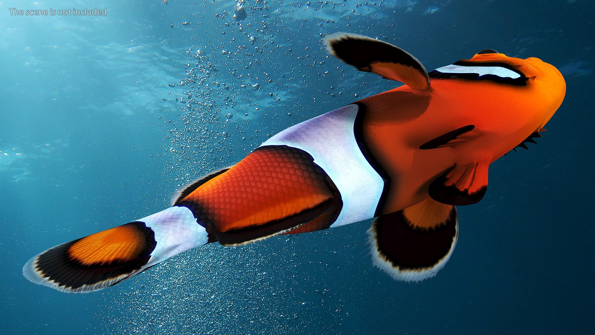 Anemonefish 3D https://p.turbosquid.com/ts-thumb/4D/CJnfRh/Rf/anemonefish3dsmodel007/jpg/1722290422/1920x1080/fit_q87/0a9e42123e511866b074d8468c448fcb17913f7a/anemonefish3dsmodel007.jpg