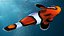 Anemonefish