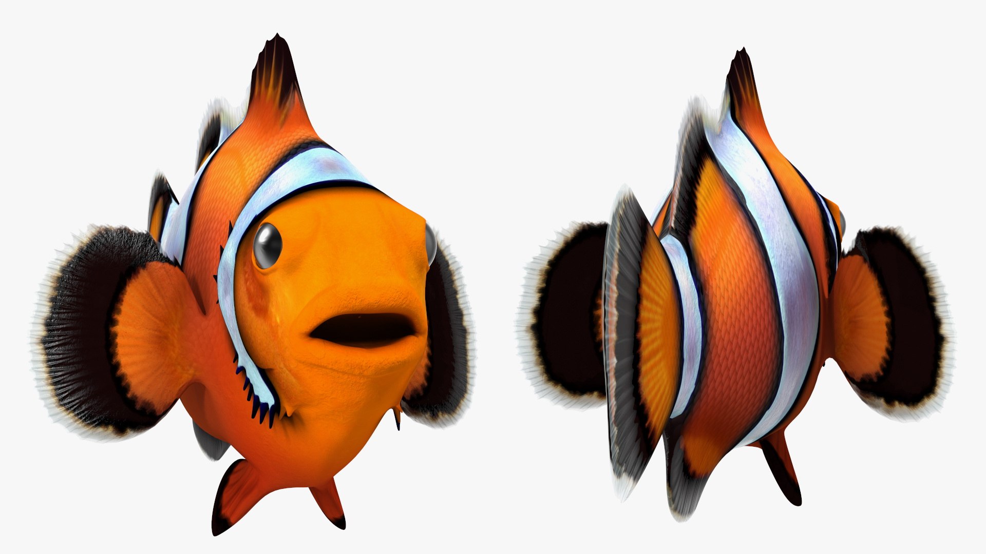 Anemonefish 3D https://p.turbosquid.com/ts-thumb/4D/CJnfRh/Tc/anemonefish3dsmodel010/jpg/1722290437/1920x1080/fit_q87/661e3a6d03a58fb14084c321af23d2be27823013/anemonefish3dsmodel010.jpg