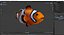 Anemonefish