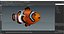 Anemonefish