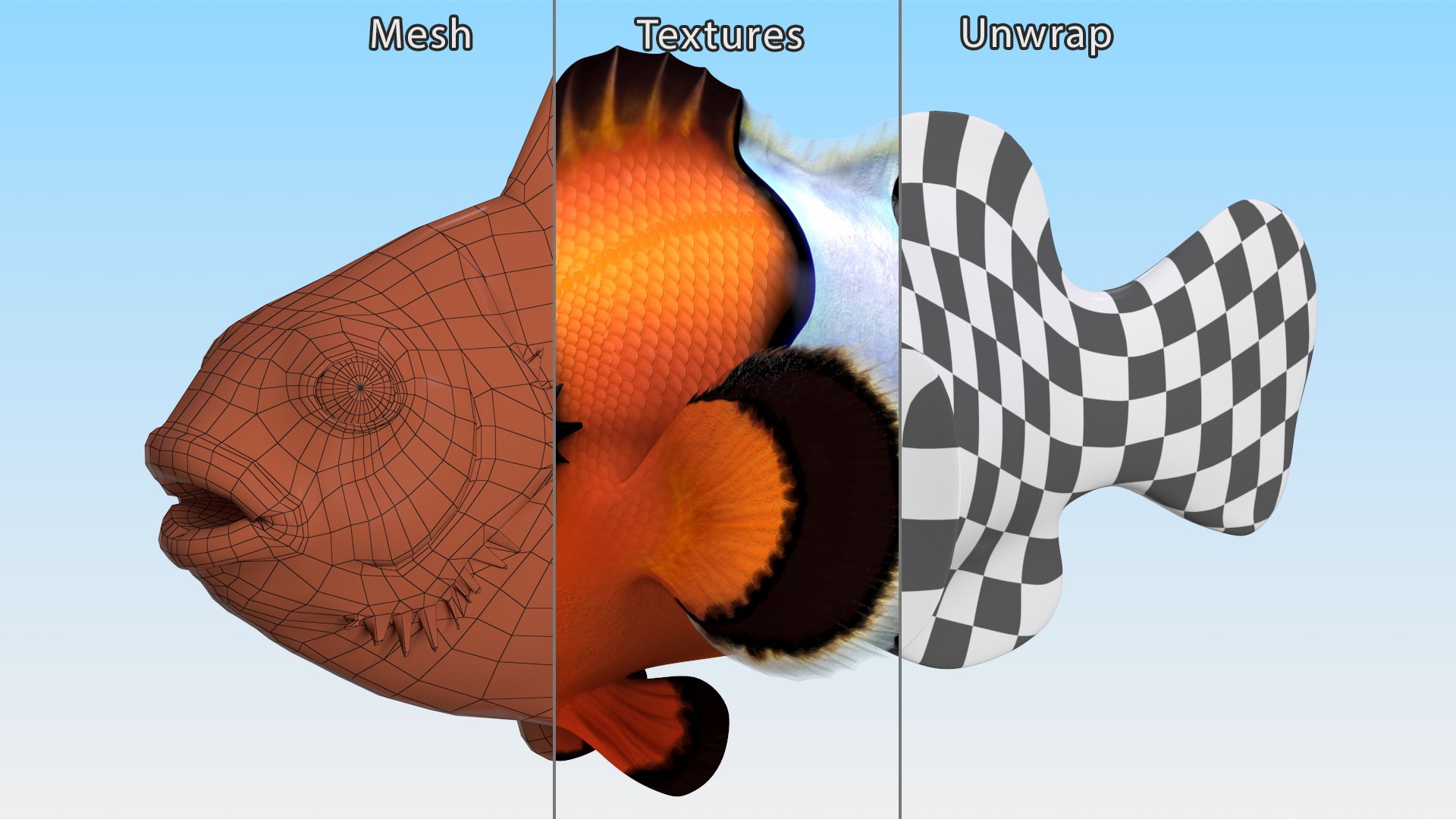 Anemonefish 3D https://p.turbosquid.com/ts-thumb/4D/CJnfRh/ff/anemonefish3dsmodel013/jpg/1722290451/1920x1080/fit_q87/ece226091c8195d9a23cd2ce2193701985d9fa06/anemonefish3dsmodel013.jpg