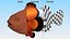 Anemonefish