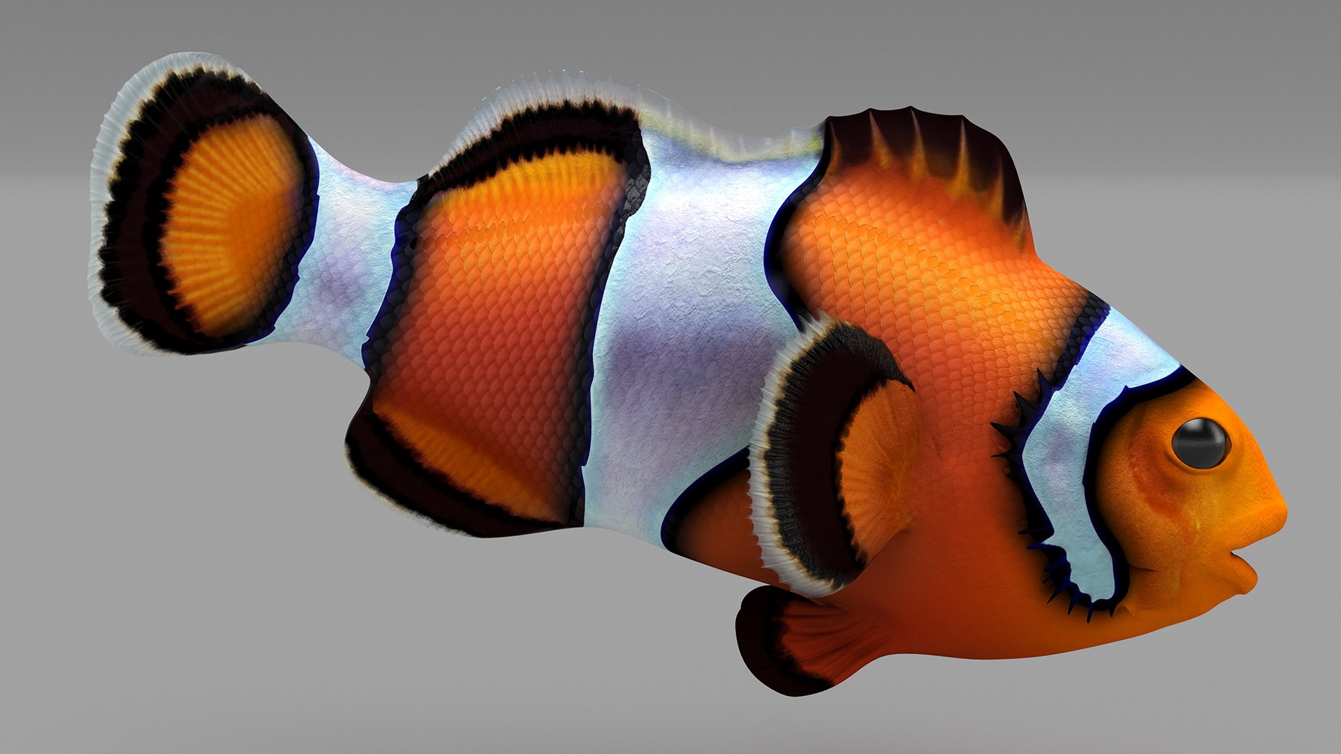 Anemonefish 3D https://p.turbosquid.com/ts-thumb/4D/CJnfRh/pm/anemonefish3dsmodel009/jpg/1722290432/1920x1080/fit_q87/75b78b43ddd0bfa3b361489e15ef7355a0ac9e41/anemonefish3dsmodel009.jpg