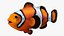 Anemonefish