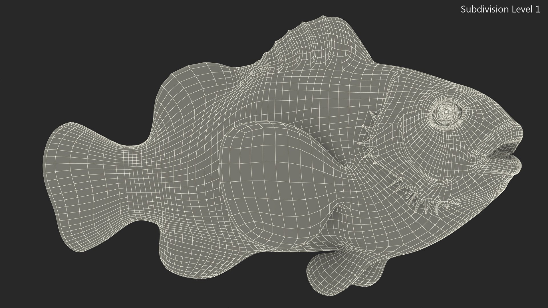 Anemonefish 3D https://p.turbosquid.com/ts-thumb/4D/CJnfRh/xa/anemonefish3dsmodel015/jpg/1722290462/1920x1080/fit_q87/2483ac0f64375441493c4f091366a1082bbc7bed/anemonefish3dsmodel015.jpg