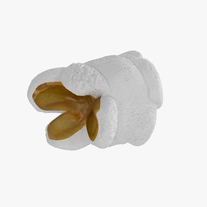 PopCorn Piece 3D model