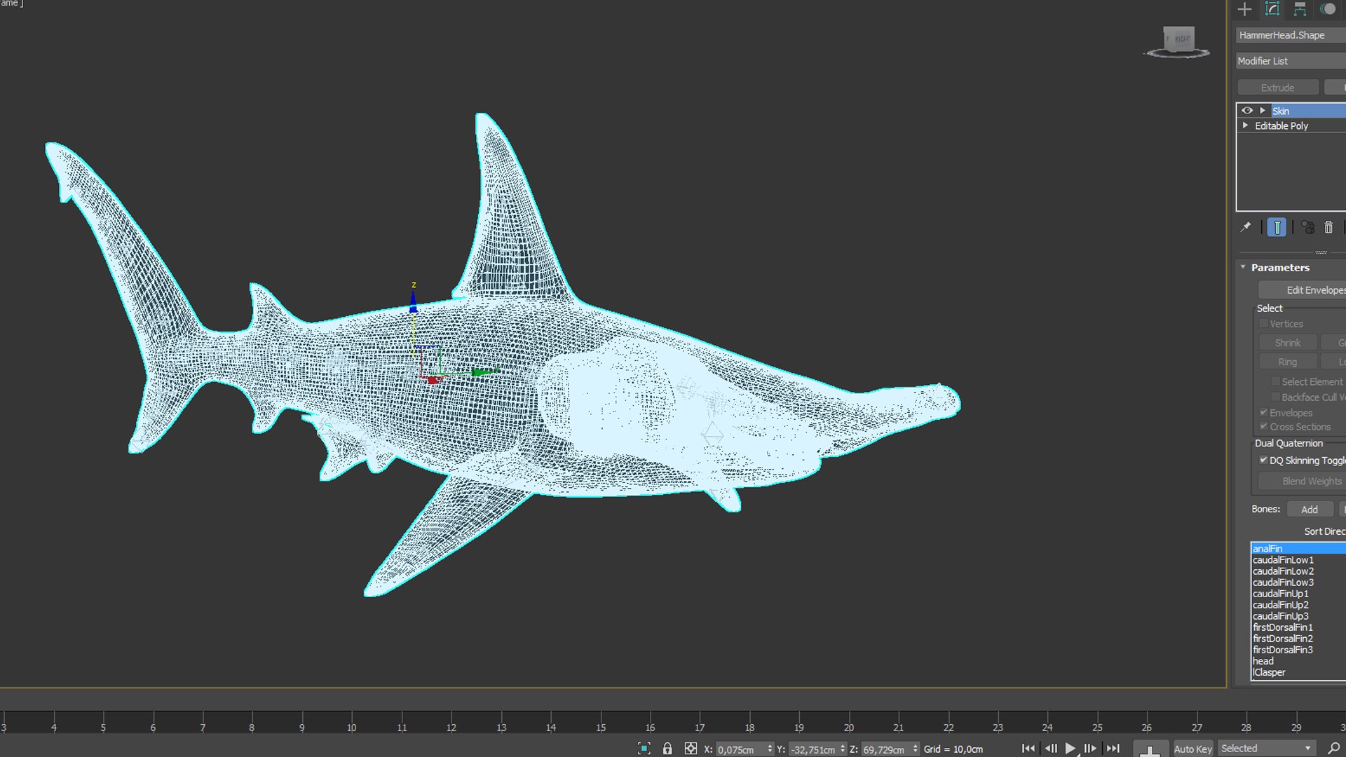 Shark Hammerhead 3D Model - TurboSquid 2082189