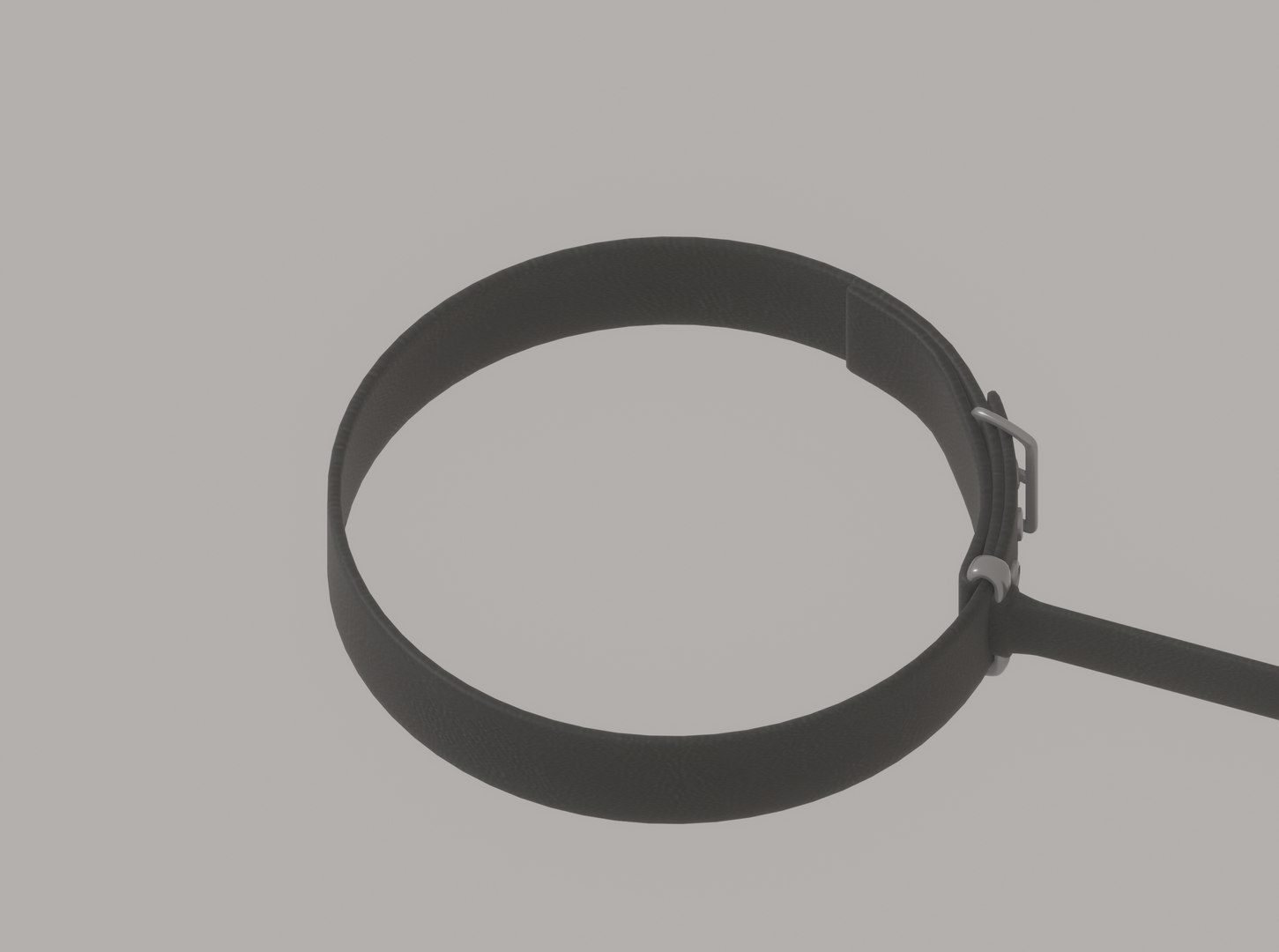 3D Dog Leash - TurboSquid 2198673