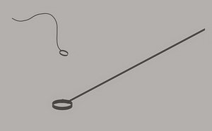 Dog Leash