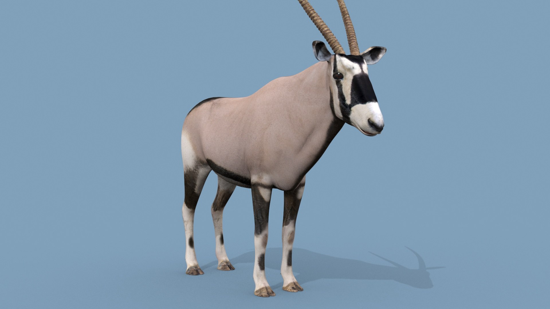 PRO Oryx 3D Model - TurboSquid 2214901