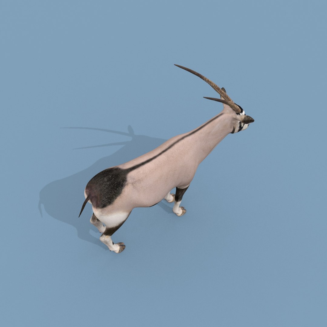 PRO Oryx 3D Model - TurboSquid 2214901