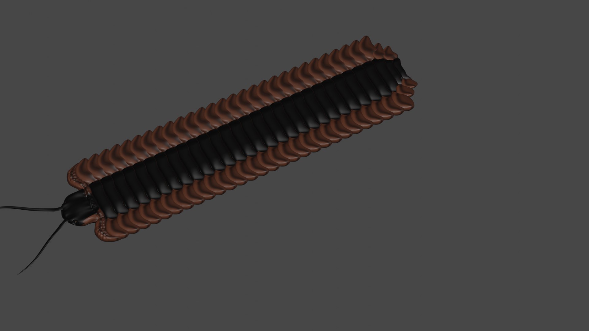 Arthropleura Ancient Millipede 3D Model TurboSquid 1861050