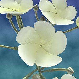 wathu sudu 3d model