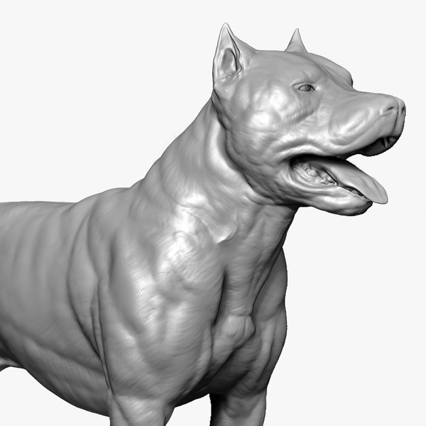 base dog american pit bull 3D model