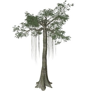 3D model Kapok Tree - 06 -