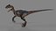 Velociraptor Low Poly
