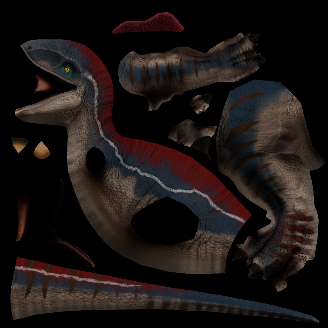 3D velociraptor dinosaur games model https://p.turbosquid.com/ts-thumb/4E/OBOgzu/FBtrcNyC/raptor2_diffuse/jpg/1508795231/1920x1080/fit_q87/53dc6a48e6246824af0b8fc9ece11916e644ed71/raptor2_diffuse.jpg
