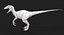 Velociraptor Low Poly