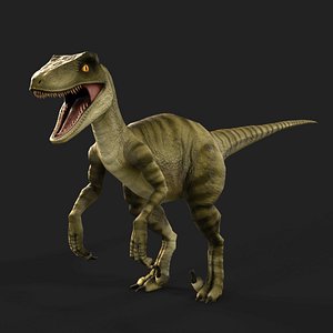 3D velociraptor dinosaur games model