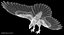 red-tailed hawk animation tail model