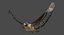 red-tailed hawk animation tail model