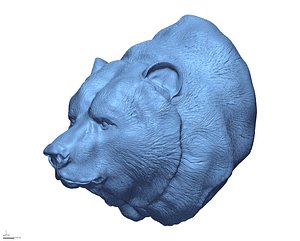 3D bear head grizzly