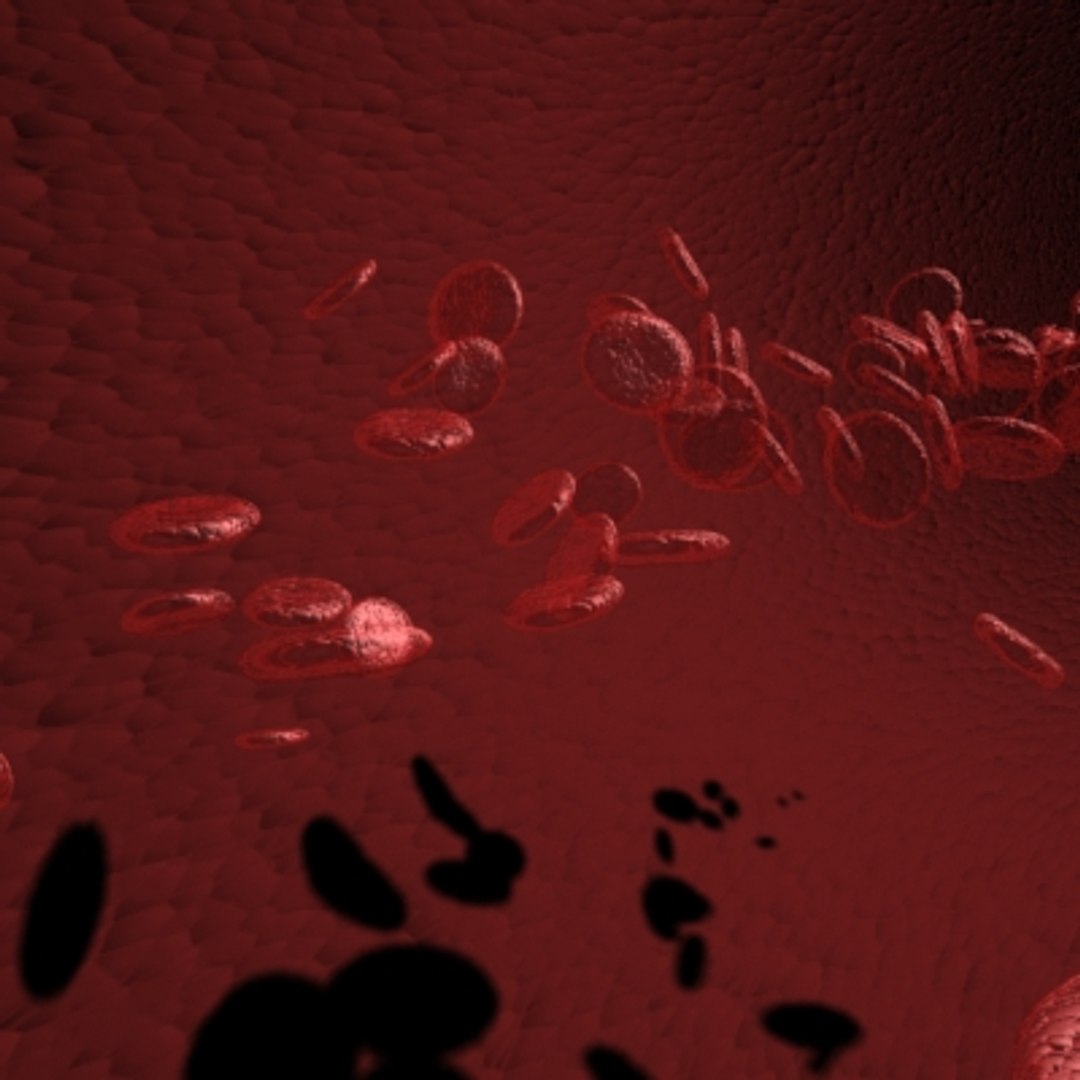 3d cells medicine science model https://p.turbosquid.com/ts-thumb/4E/d4X9Dp/CARC9BTC/cells/jpg/1102154964/1920x1080/fit_q87/427c32232cc0e869a74301d1765148ae760cdee4/cells.jpg