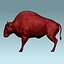 buffalo