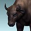 buffalo