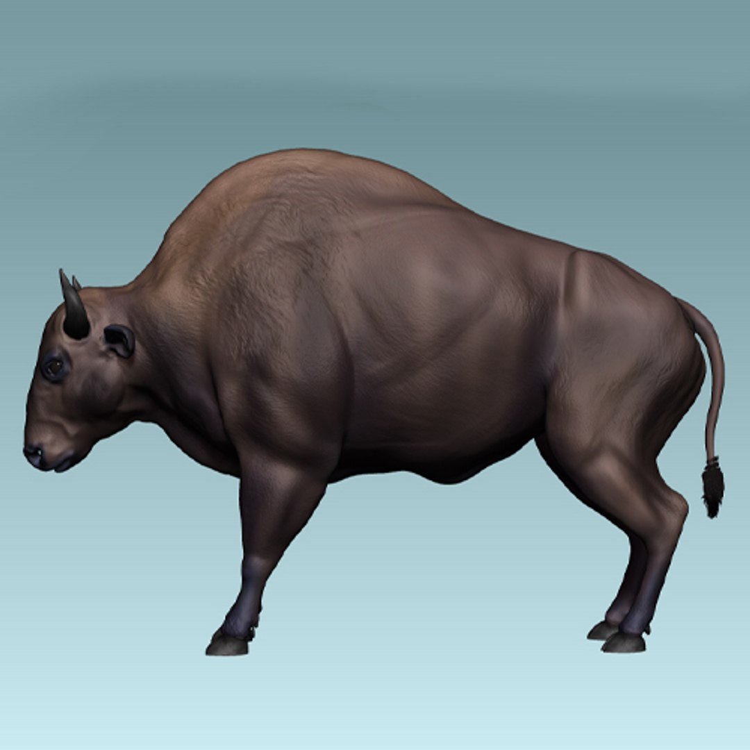 3D animal beast https://p.turbosquid.com/ts-thumb/4E/nVnNmP/gHHLTolH/3/jpg/1581065886/1920x1080/fit_q87/53c2556c3ef14436d776a589e1d9db92495c212d/3.jpg