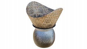 Thai Sticky Rice Steamer 3D model
