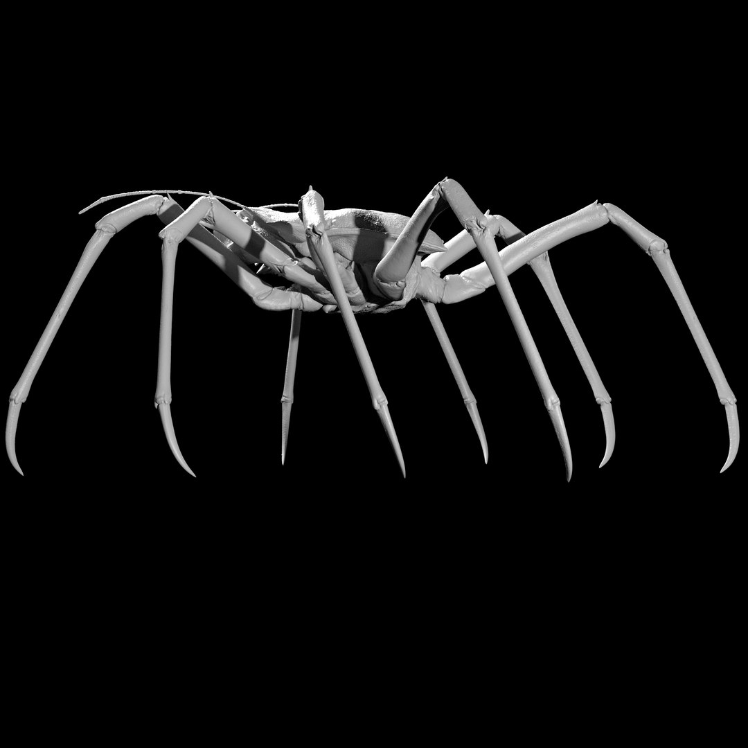 Creature crab 3D - TurboSquid 1370166