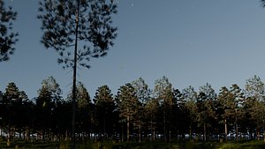 3D model Lake in the forest
