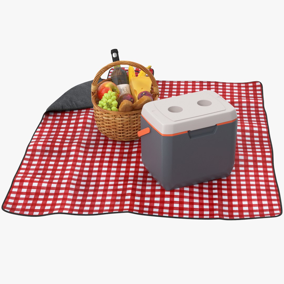 Picnic Food on Blanket 3D model preview