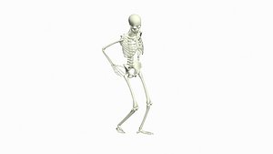 3D Skeleton Release Hostage model
