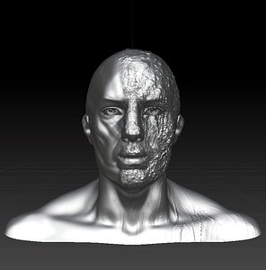 3D radioactive head model
