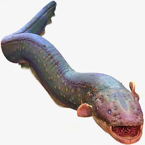 Electric Eel Rigged Plus render Scene