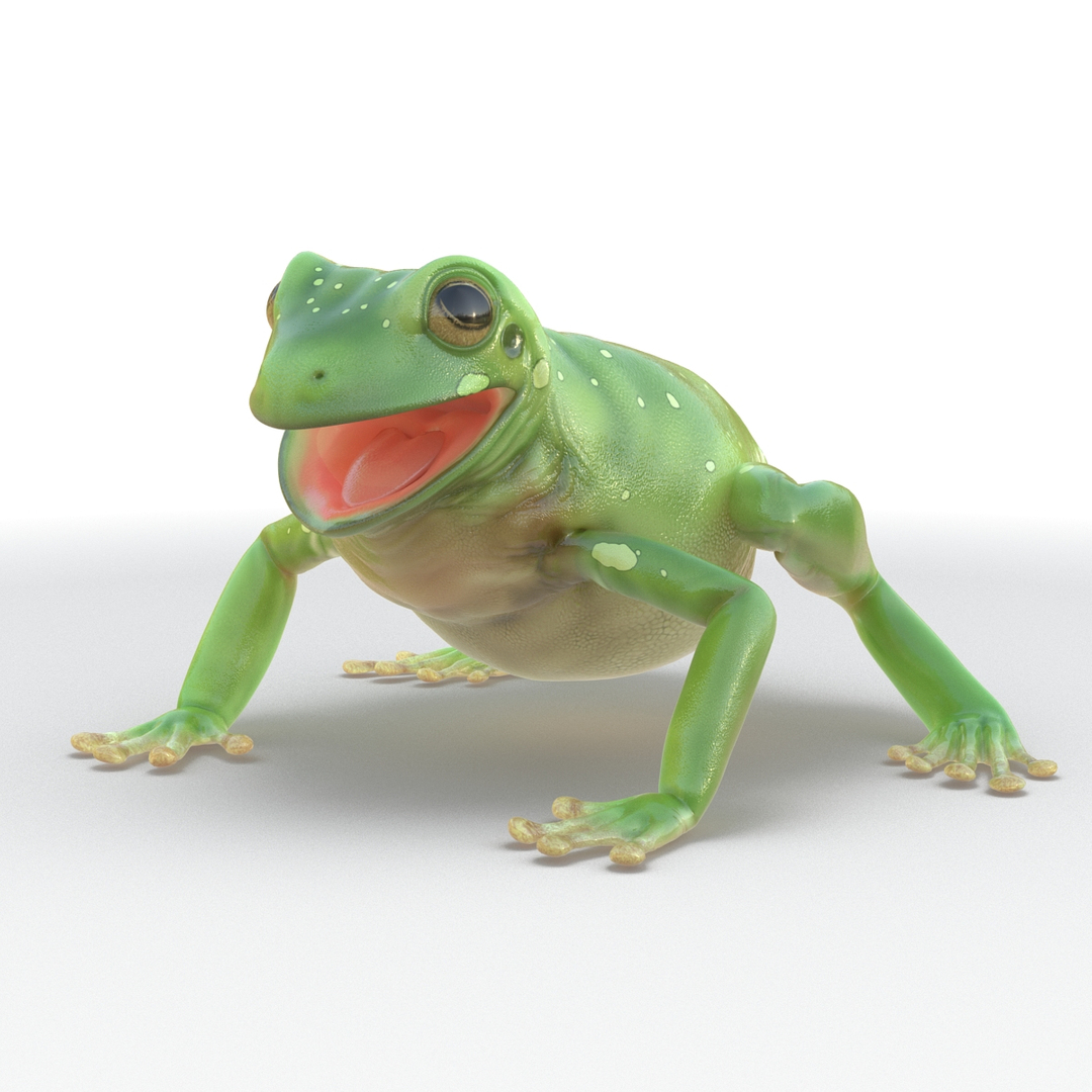 White Tree Frog Figurine, Australian Green Tree Frog 8cm Lengt