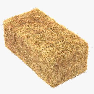 hay bale square 3d max